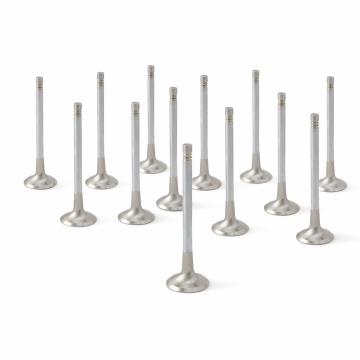 ZRP Std Exhaust Valves Inconel for Lamborghini 5.2L Gallardo Huracan 2008-