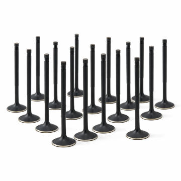 ZRP Std Intake Valves Black Nitride for Lamborghini 5.2L Gallardo Huracan 2008-