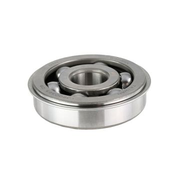 Winters Double roller ball bearing with Snap ring 8659