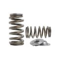 Spring set Beehive and retainers Kelford Cams for Nissan VK56
