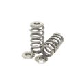 Spring set Beehive and titanium retainers Kelford Cams for Ford 3.5 V6 EcoBoost