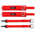 Arm Restraints FMIC.Pro SFI 3.3 Red