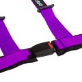 DriftShop 4 Point Harness 2