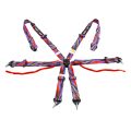 DriftShop 6 Point Harness Multi Colour FIA Approved 8853