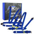 Racing Harness for HANS FMIC.Pro FIA 2031 8853-2016 6-Point (2+3)