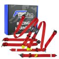 Racing Harness FMIC.Pro FIA 2031 8853-2016 6-Point 2