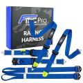 Racing Harness Formula FMIC.Pro FIA 2031 8853-2016 6-Point 2