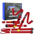 Racing Harness Formula FMIC.Pro FIA 2031 8853-2016 6-Point 2