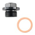 Oil Temperature and Pressure Sensor Adapter M18x1.5–1/8