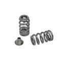 Spring set Beehive and titanium retainers Kelford Cams for Rotax 900 ACE