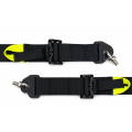 Racing Harness FMIC.Pro FIA 8853-2016 6-Point 2