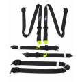 Racing Harness FMIC.Pro FIA 8853-2016 6-Point 2