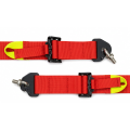 Racing Harness FMIC.Pro FIA 8853-2016 6-Point 2