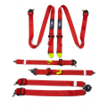 Racing Harness FMIC.Pro FIA 8853-2016 6-Point 2