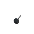 ZRP Std Intake Valves Black Nitride for BMW 3.0L N54