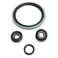 Steering Knuckle Bearings and Seals Set IOD Performance for Nissan Patrol Y61 (one side)