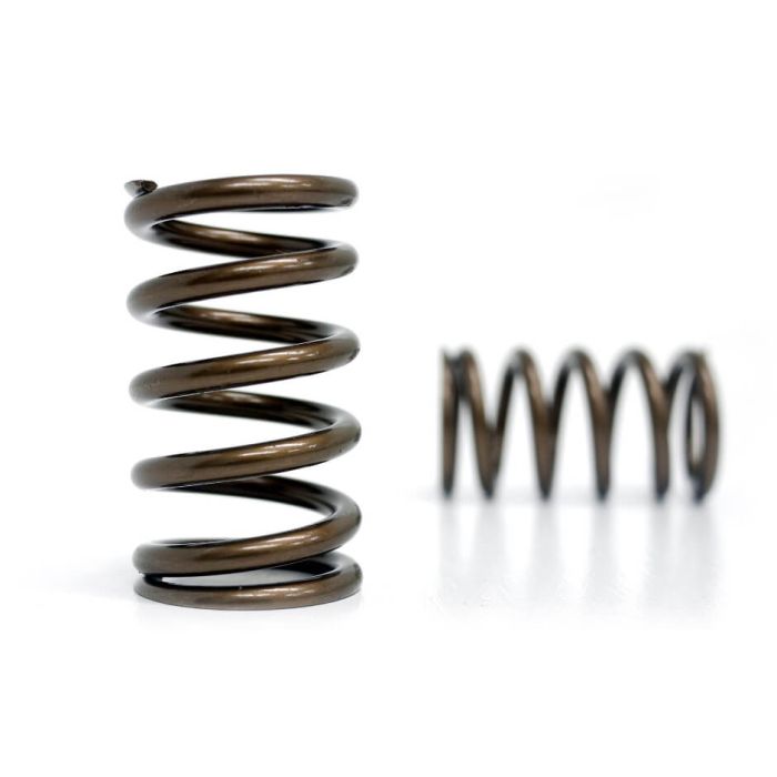 Spring set Kelford Cams for Toyota 1JZ-GTE