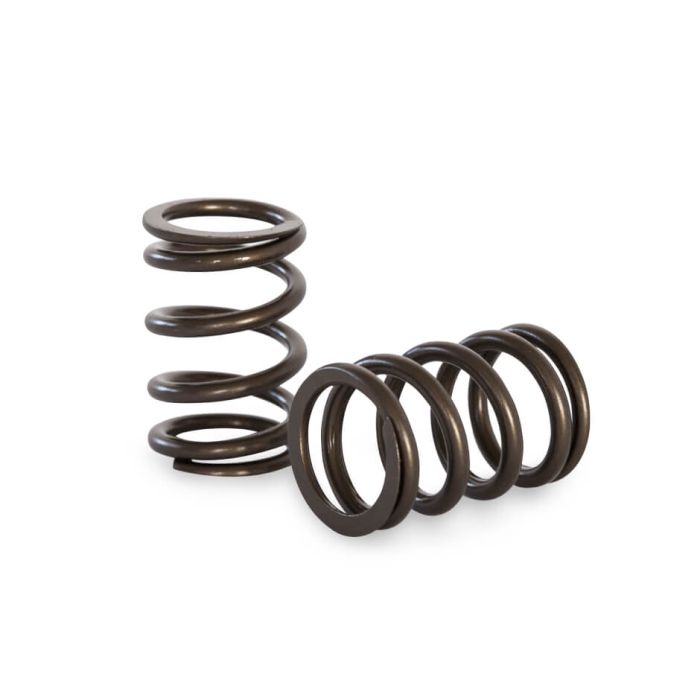 Spring set Kelford Cams for Formula Ford 105E-116E