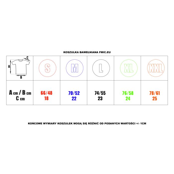 T-shirt FMIC.EU S szary