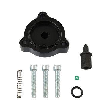 DV + valve for Mini, Citroen and Peugeot FMIC.EU