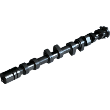 Tuning Exhaust Camshaft Swiatek for Hyundai 1.6 16vl Stage W
