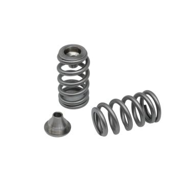 Spring set Beehive and titanium retainers Kelford Cams for Rotax 900 ACE