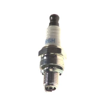 Spark Plug NGK 3365 CMR6H