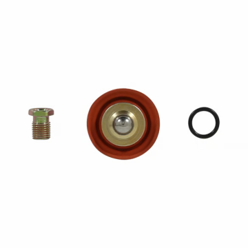 AEM 25-392 Adjustable Fuel Pressure Regulator Rebuild Kit