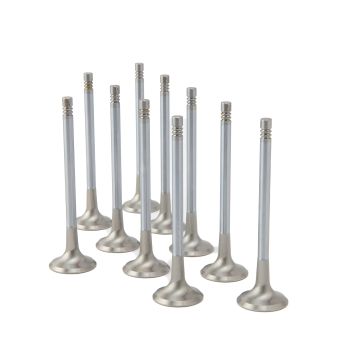 ZRP Std Exhaust Valves Inconel for Audi VW Volkswagen 2.5L TFSI TT-RS RS3 EA855