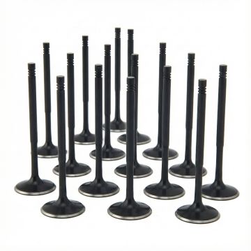 ZRP Std Valves Intake Black Nitride for Audi VW Volkswagen 4.2L R8 32V 8V FSI