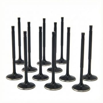 ZRP Std Intake Valves Black Nitride for BMW 3.0L N54