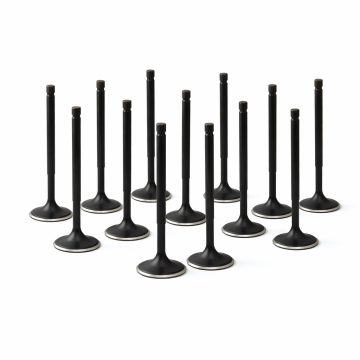 ZRP Std Intake Valves Black Nitride for Toyota Supra 3.0L 2JZ