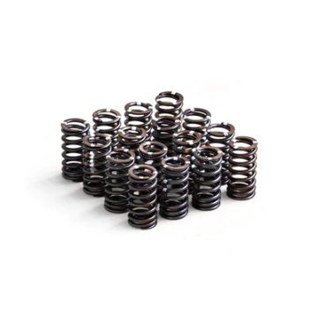 Stiffer Valve Springs RTMG Performance for 1.4 TSI EA111