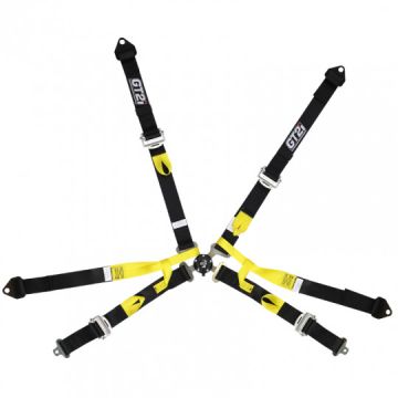 GT2I Pro Single Seater Harness 6-Point Black FIA Approved 8853-2016