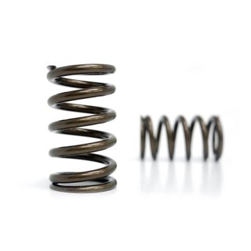 Spring set Kelford Cams for Subaru EJ20 EJ255 WRX