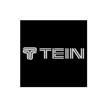 Tein Silver Logo Sticker - 30 cm