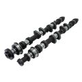 Camshafts Kelford Cams for Toyota Scion 2AZ-FE 272/266
