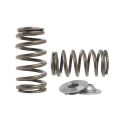 Spring set Beehive Kelford Cams for Nissan VQ35