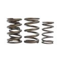 Dual Spring set Kelford Cams for Nissan SR16VE SR20VE