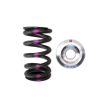 Dual Spring Titanium Retainer kit BC Brian Crower BC0260 Nissan QR25DE