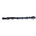 Tuning Camshafts Swiatek for BMW M20 2.5/2.7 12v GT/R Stage 2/3