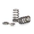 Spring set Beehive and titanium retainers Kelford Cams for Honda K seria