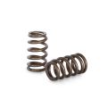 Spring set Beehive Kelford Cams for Mazda L3 2.3 DISI