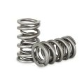 Dual Spring set Kelford Cams for Chevy LS1