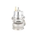 Wastegate V-Band 54mm silver