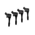 RTMG Performance RS3 Ignition Coil Set for 1.8/2.0 TSI EA888 Gen 3 Engines