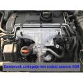 Zamiennik zaworu EGR VW Seat Skoda Audi z silnikami 1.9 TDI AXR BKC BKD AZV BRU + kolanko 90' 51 N