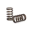 Spring set Kelford Cams for Nissan RB20DET RB25DET-1
