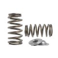 Spring set Beehive Kelford Cams for Nissan VQ35-1