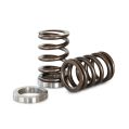 Spring set Kelford Cams for Nissan RB25DET NVCS-1